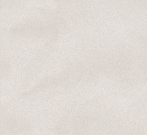 Marburger Tapete 53317 10,05 x 0,70 m Colani Visions 2025